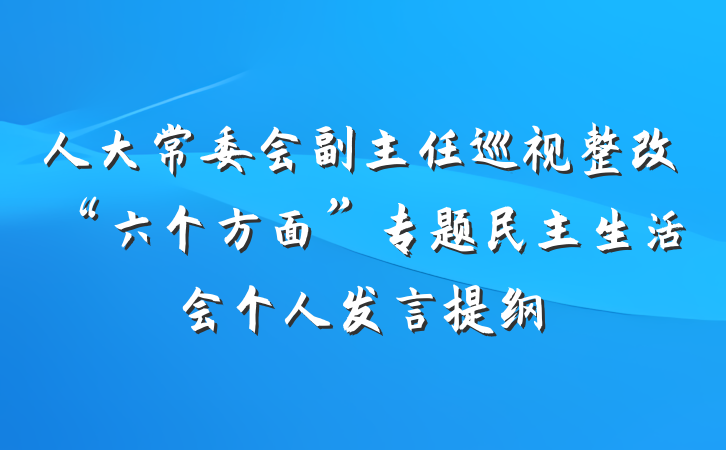 人大常委会副主任巡视整改“六个方面”专题民主生活会个人发言提纲