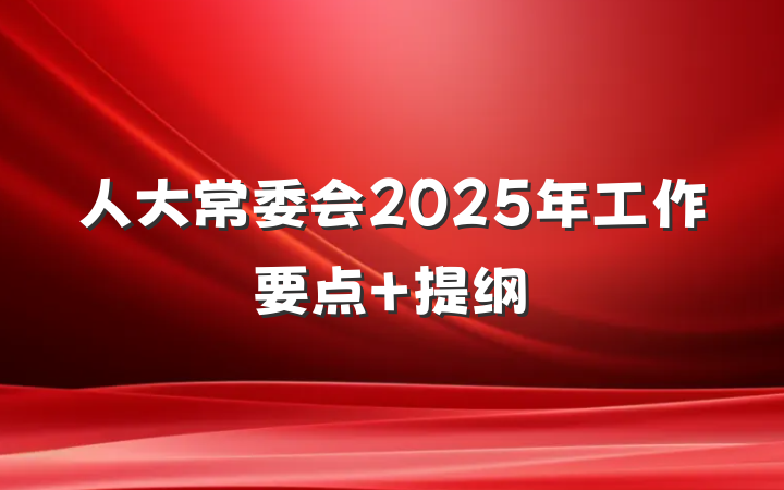 人大常委会2025年工作要点 提纲