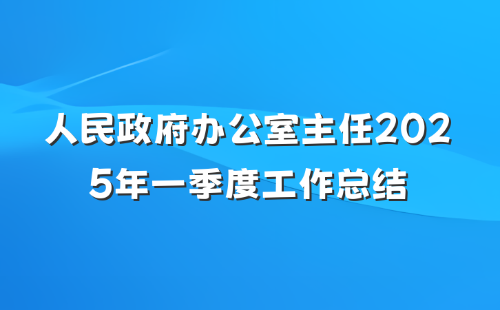 人民政府办公室主任2025年一季度工作总结