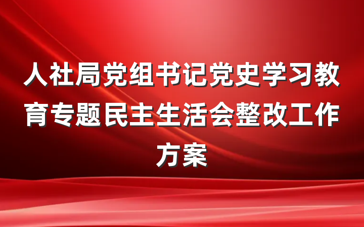 人社局党组书记党史学习教育专题民主生活会整改工作方案