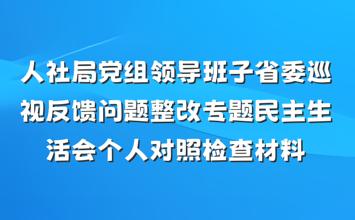 人社局党组领导班子省委巡视反馈问题整改专题民主生活会个人对照检查材料