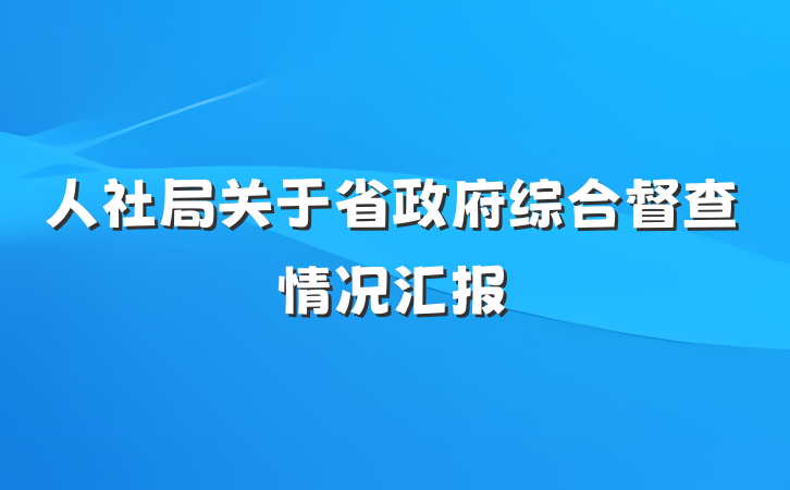 人社局关于省政府综合督查情况汇报
