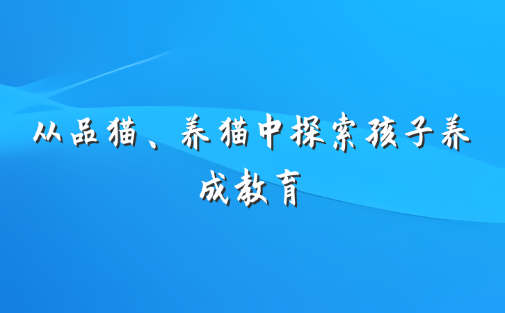 从品猫、养猫中探索孩子养成教育
