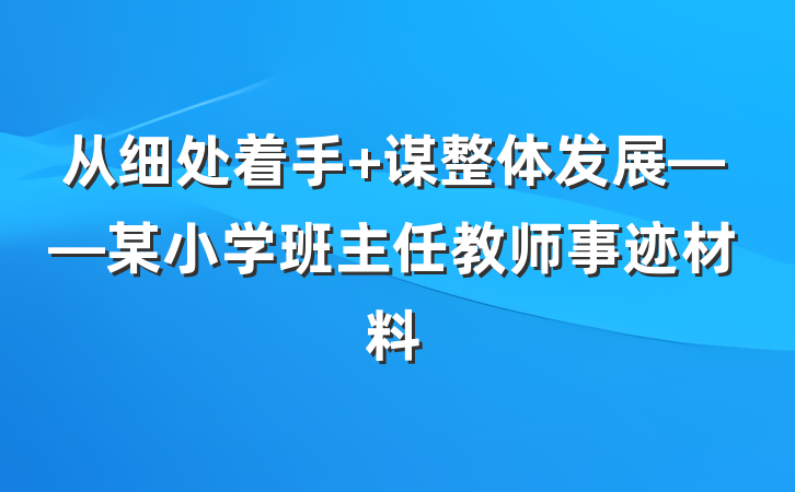 从细处着手 谋整体发展——某小学班主任教师事迹材料