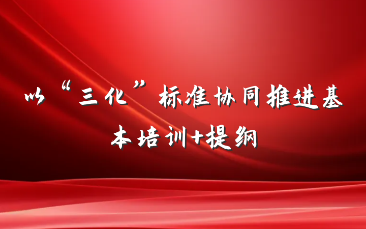 以“三化”标准协同推进基本培训 提纲