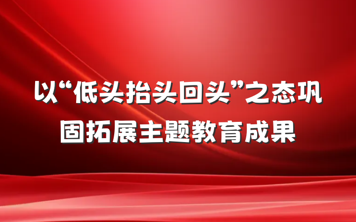 以“低头抬头回头”之态巩固拓展主题教育成果