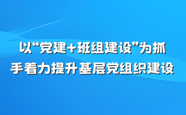 以“党建 班组建设”为抓手着力提升基层党组织建设