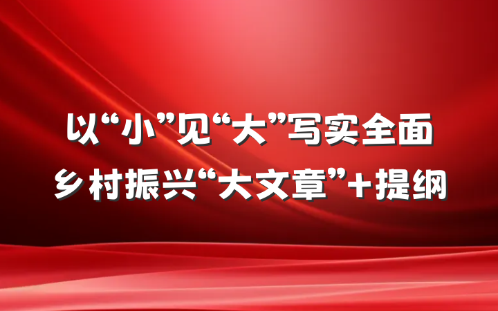以“小”见“大”写实全面乡村振兴“大文章” 提纲