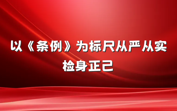 以《条例》为标尺从严从实检身正己