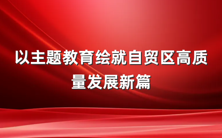 以主题教育绘就自贸区高质量发展新篇