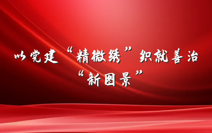 以党建“精微绣”织就善治“新图景”