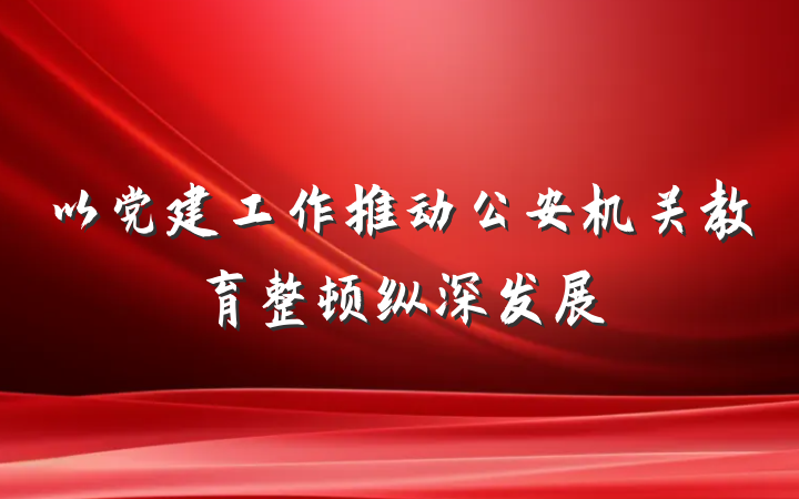 以党建工作推动公安机关教育整顿纵深发展