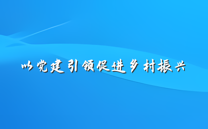 以党建引领促进乡村振兴