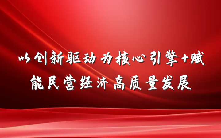 以创新驱动为核心引擎 赋能民营经济高质量发展