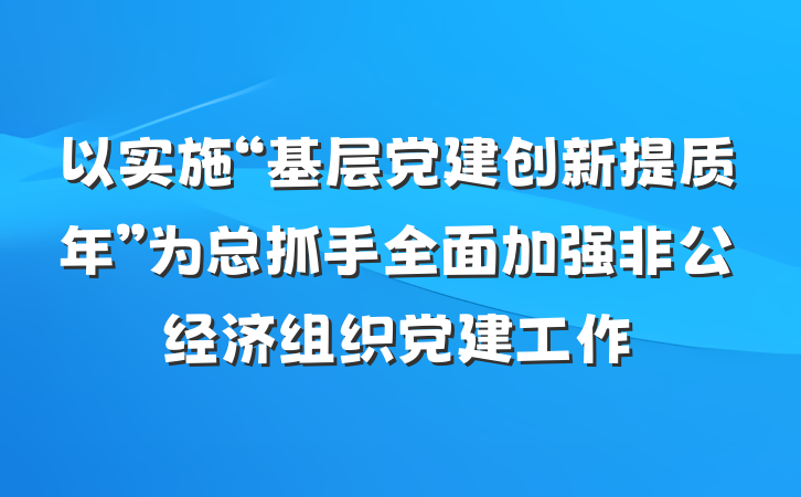 以实施“基层党建创新提质年”为总抓手全面加强非公经济组织党建工作
