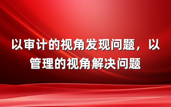 以审计的视角发现问题，以管理的视角解决问题