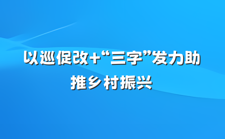以巡促改 “三字”发力助推乡村振兴