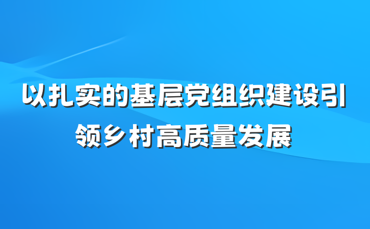 以扎实的基层党组织建设引领乡村高质量发展