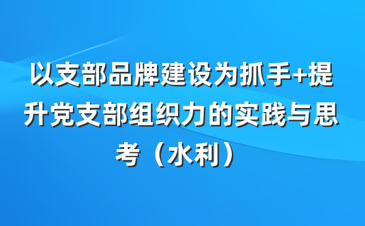 以支部品牌建设为抓手 提升党支部组织力的实践与思考（水利）