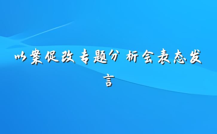 以案促改专题分析会表态发言