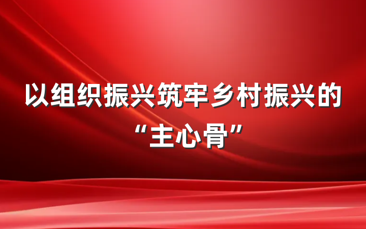 以组织振兴筑牢乡村振兴的“主心骨”