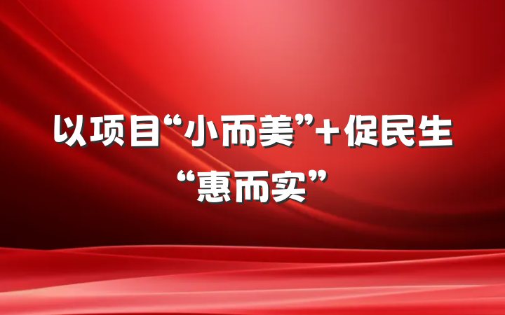 以项目“小而美” 促民生“惠而实”