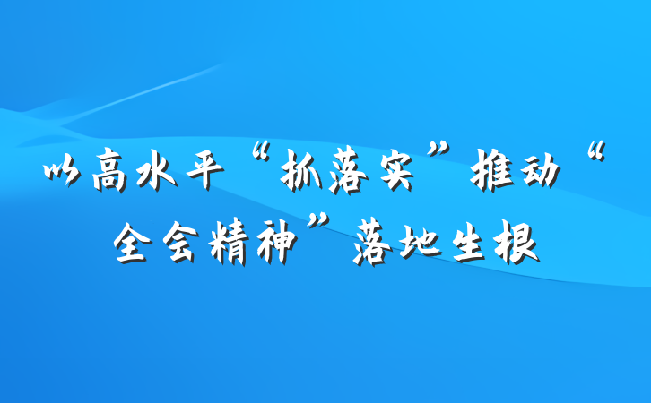 以高水平“抓落实”推动“全会精神”落地生根
