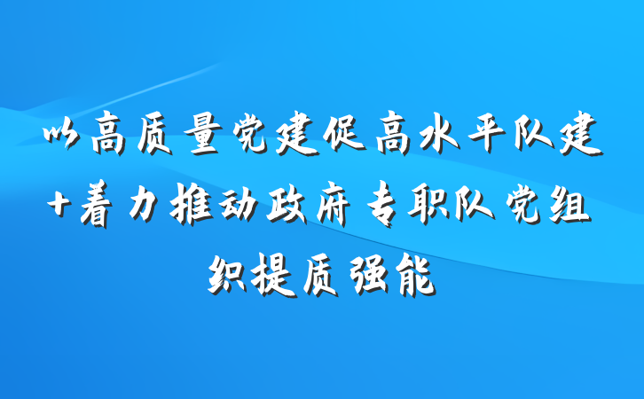 以高质量党建促高水平队建 着力推动政府专职队党组织提质强能
