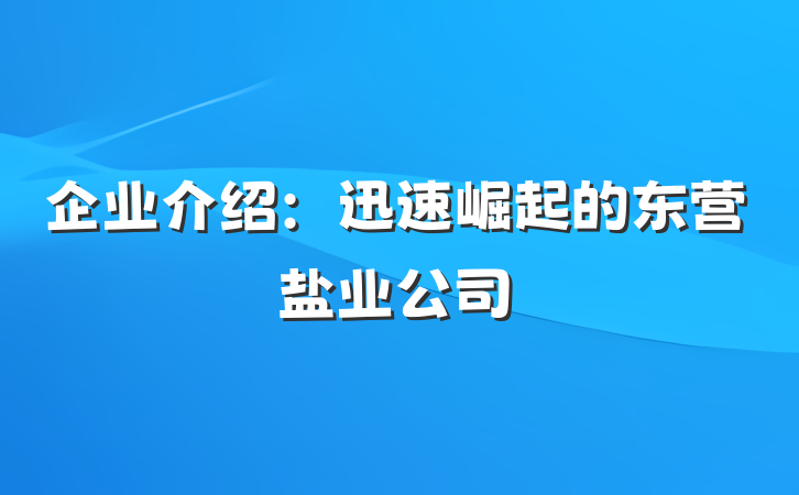 企业介绍：迅速崛起的东营盐业公司