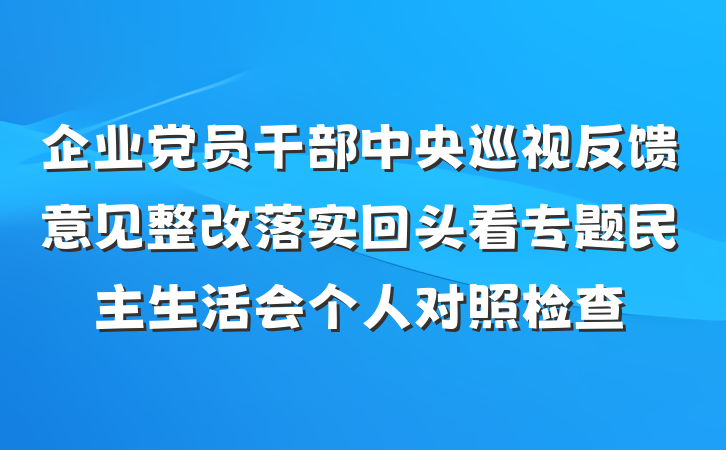 企业党员干部中央巡视反馈意见整改落实回头看专题民主生活会个人对照检查
