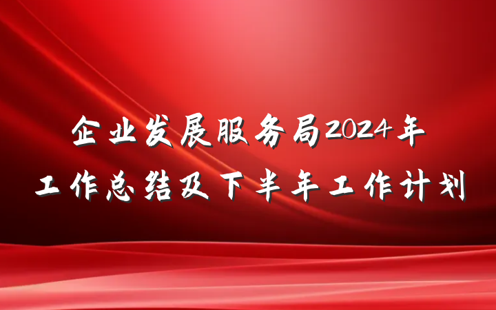 企业发展服务局2024年工作总结及下半年工作计划