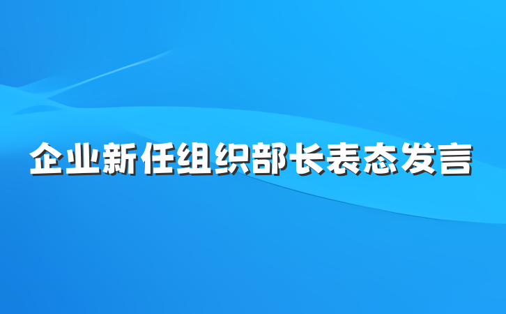 企业新任组织部长表态发言