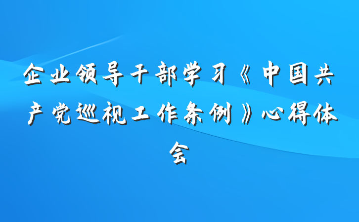 企业领导干部学习《中国共产党巡视工作条例》心得体会