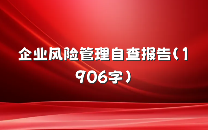 企业风险管理自查报告（1906字）