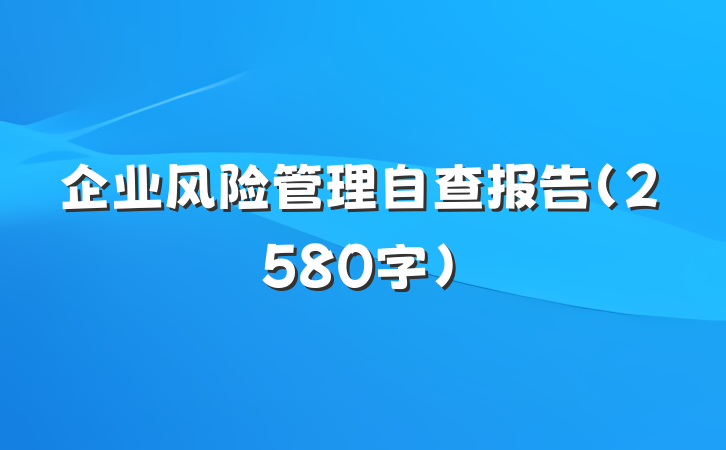 企业风险管理自查报告（2580字）
