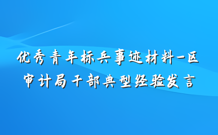 优秀青年标兵事迹材料-区审计局干部典型经验发言