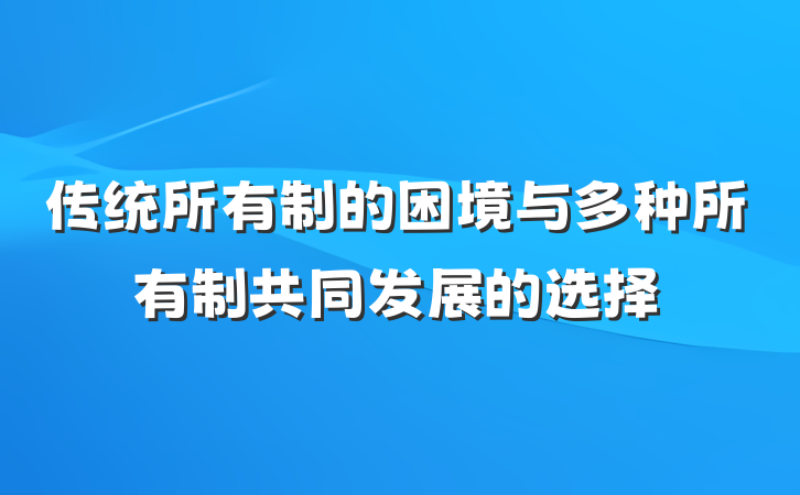 传统所有制的困境与多种所有制共同发展的选择