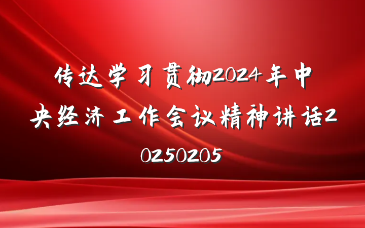 传达学习贯彻2024年中央经济工作会议精神讲话20250205