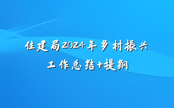 住建局2024年乡村振兴工作总结 提纲