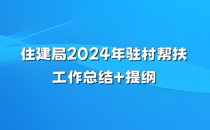 住建局2024年驻村帮扶工作总结 提纲