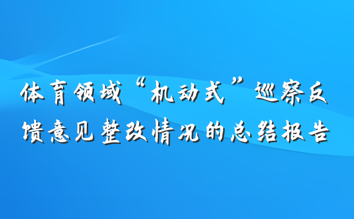 体育领域“机动式”巡察反馈意见整改情况的总结报告