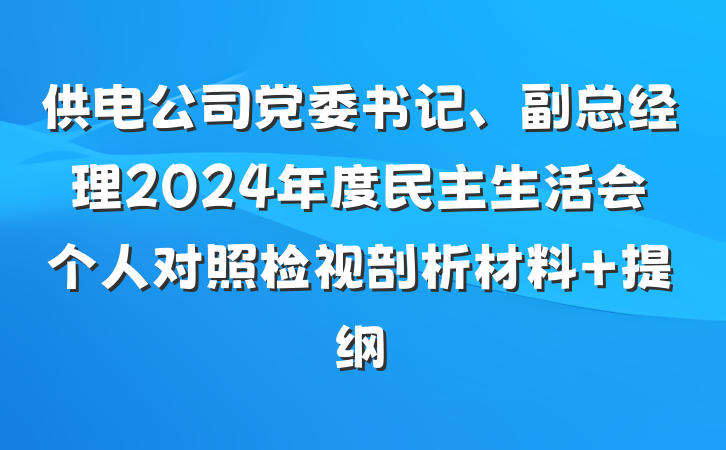 供电公司党委书记、副总经理2024年度民主生活会个人对照检视剖析材料 提纲