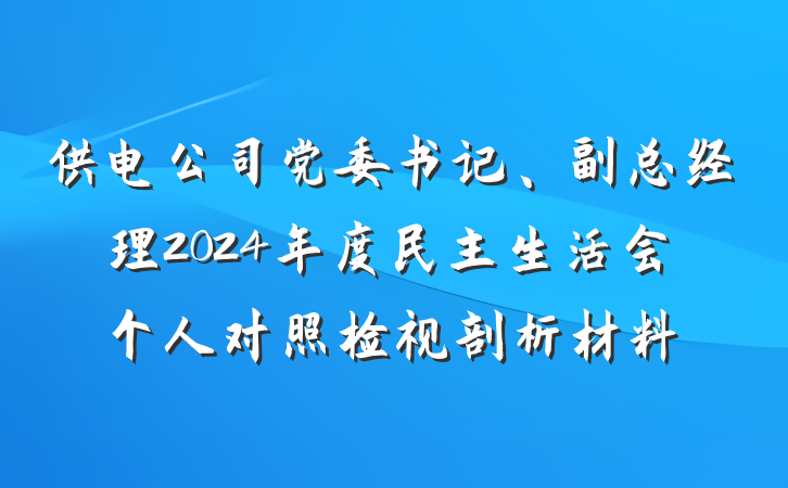 供电公司党委书记、副总经理2024年度民主生活会个人对照检视剖析材料