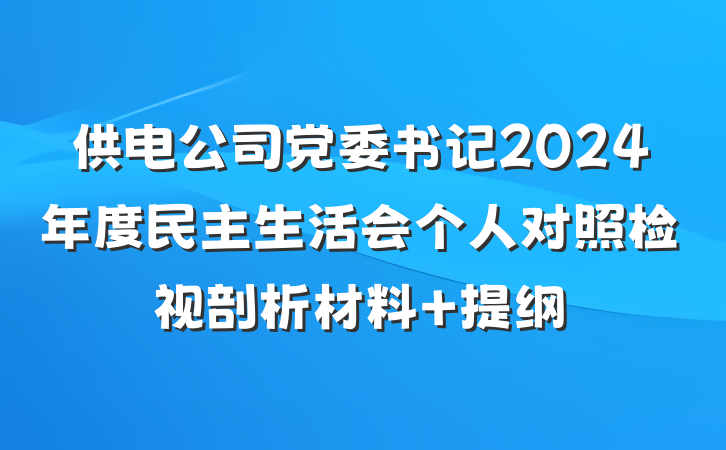 供电公司党委书记2024年度民主生活会个人对照检视剖析材料 提纲