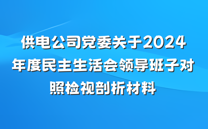 供电公司党委关于2024年度民主生活会领导班子对照检视剖析材料