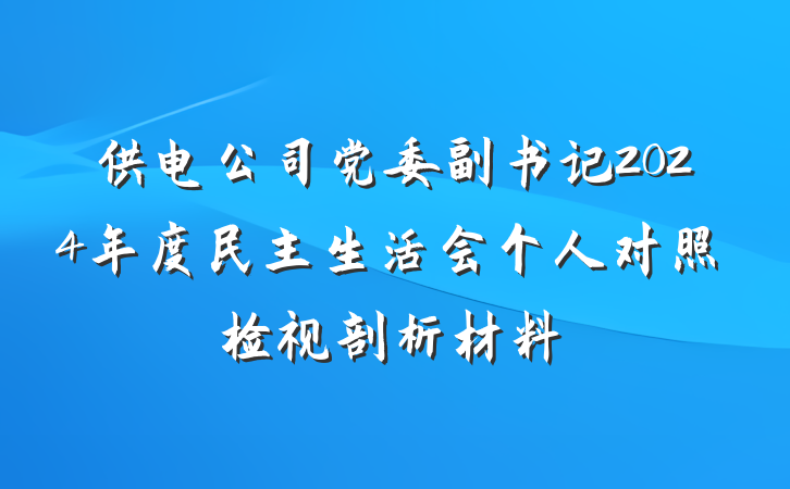 供电公司党委副书记2024年度民主生活会个人对照检视剖析材料