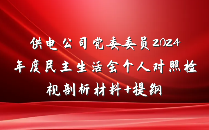 供电公司党委委员2024年度民主生活会个人对照检视剖析材料 提纲