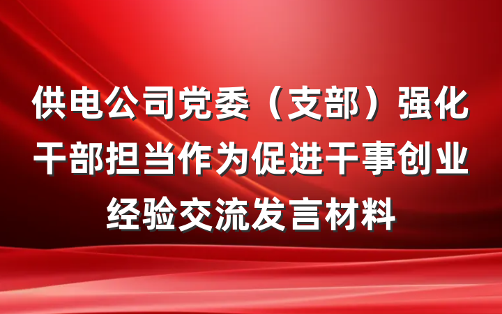 供电公司党委（支部）强化干部担当作为促进干事创业经验交流发言材料