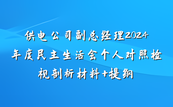 供电公司副总经理2024年度民主生活会个人对照检视剖析材料 提纲