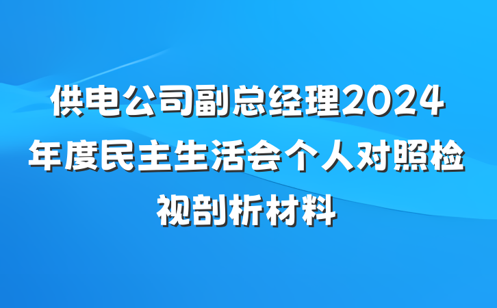 供电公司副总经理2024年度民主生活会个人对照检视剖析材料